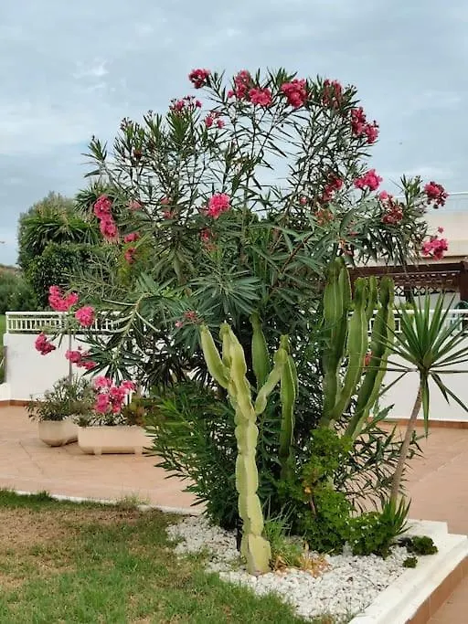 Spacious And Luxurious Apartment Mojacar