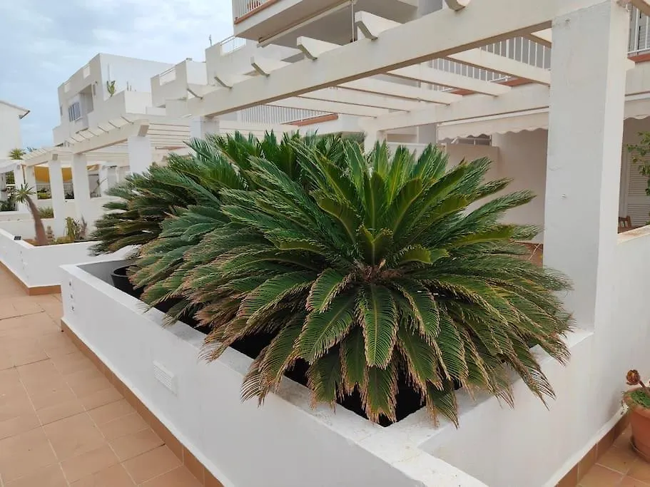 Spacious And Luxurious Apartment Mojacar 0*,  Spain