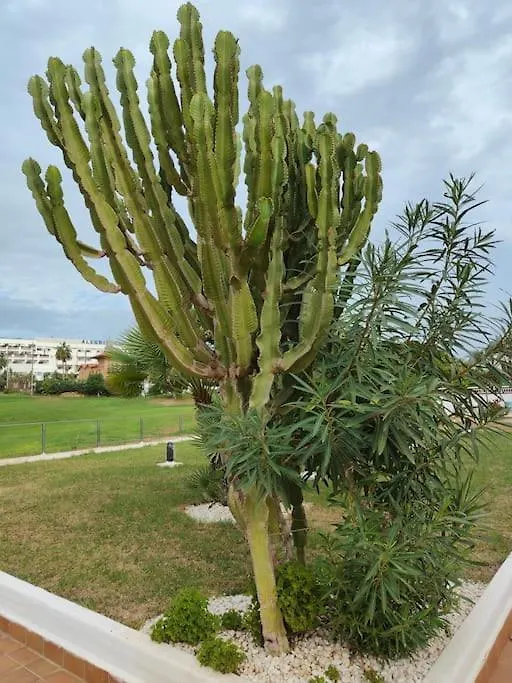 Spacious And Luxurious Apartment Mojacar